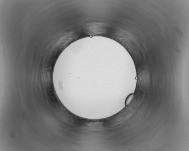 X0000114510426200911091134