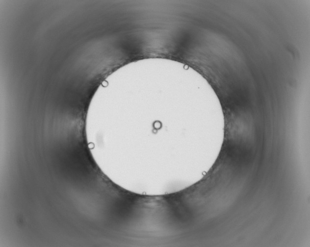 X0000114510427200911091134