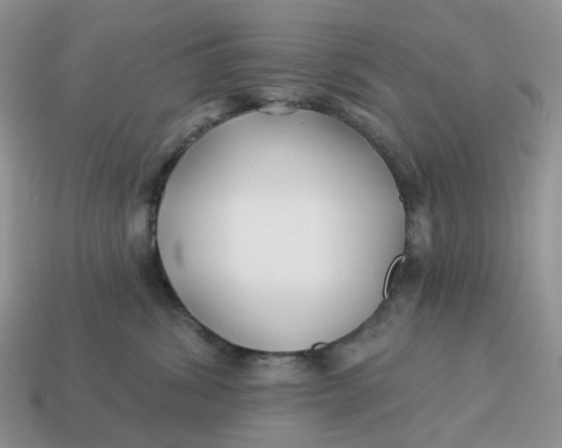 X0000114510428200911091134