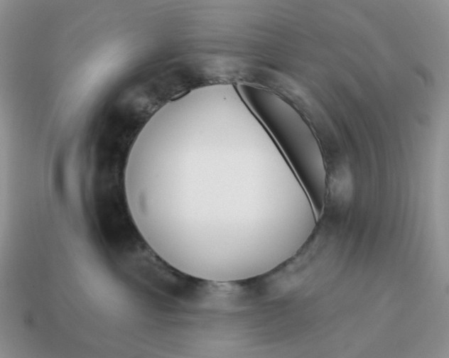 X0000114510429200911091133