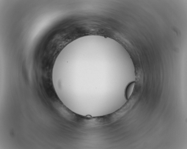 X0000114510430200911091133