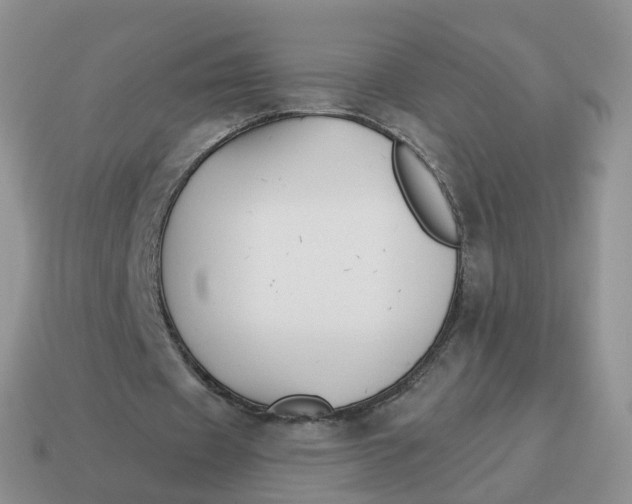 X0000114510433200911091133