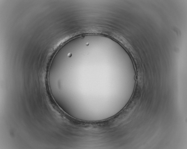 X0000114510434200911091133