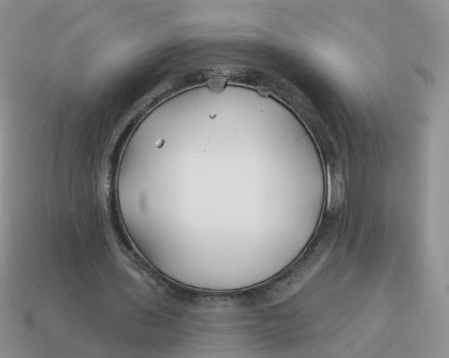 X0000114510435200911091133