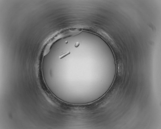 X0000114510436200911091133