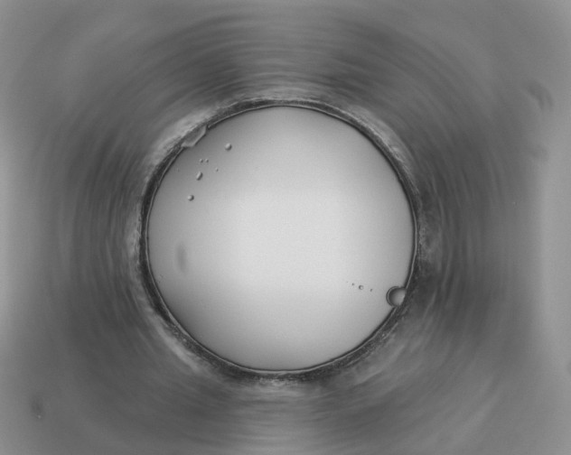 X0000114510437200911091133