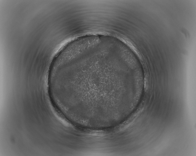 X0000114510438200911091133