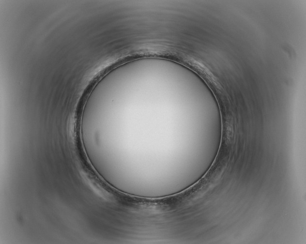 X0000114510439200911091133