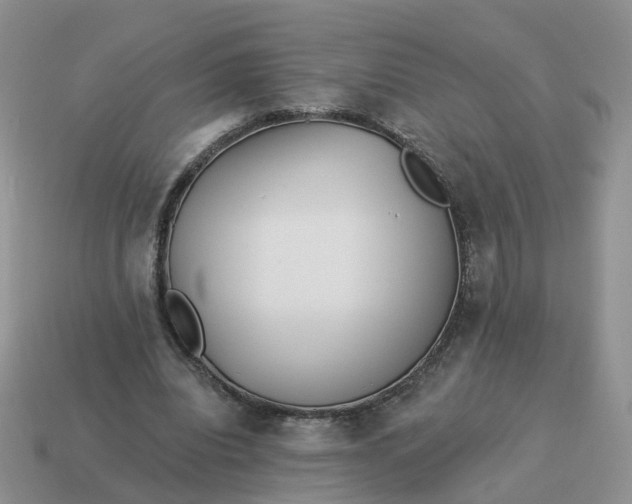 X0000114510440200911091133