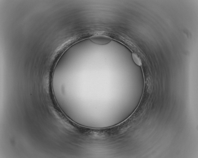 X0000114510442200911091133