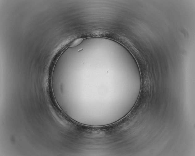 X0000114510443200911091133