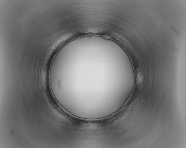 X0000114510444200911091133