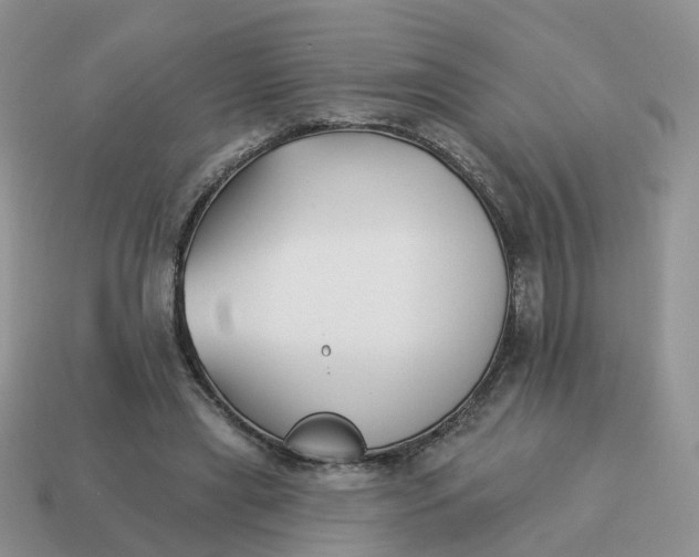 X0000114510445200911091133