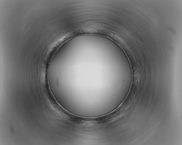 X0000114510446200911091133