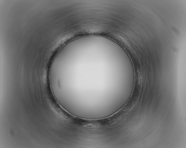 X0000114510447200911091133