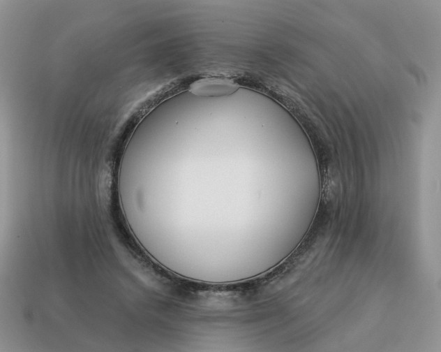 X0000114510448200911091133