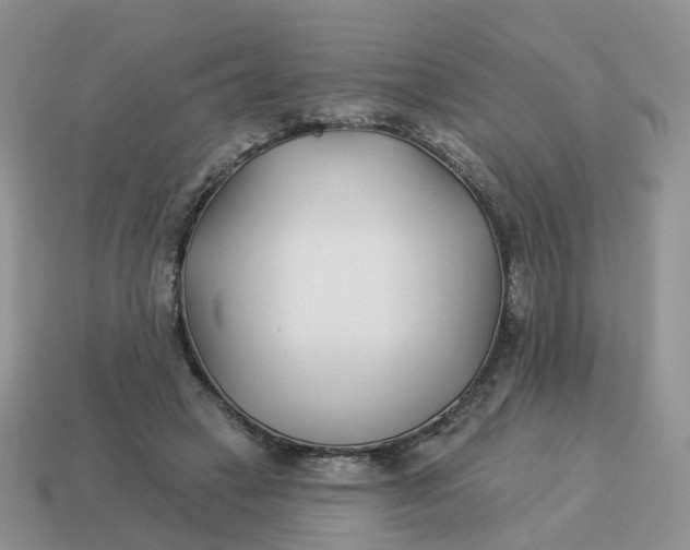 X0000114510449200911091133