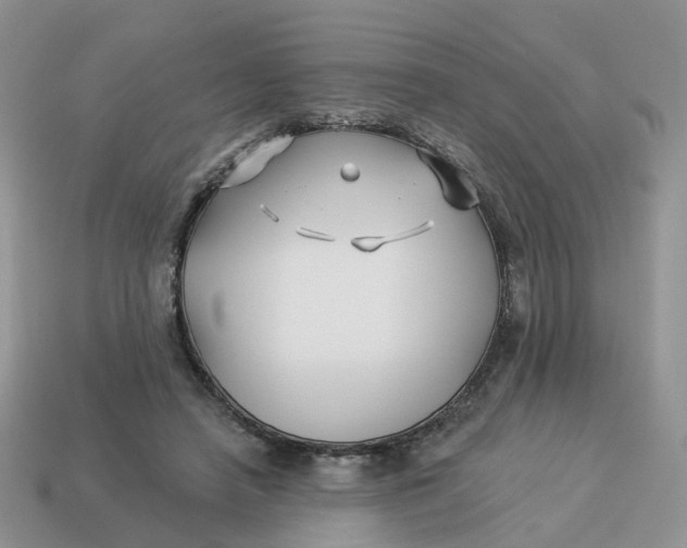 X0000114510450200911091133