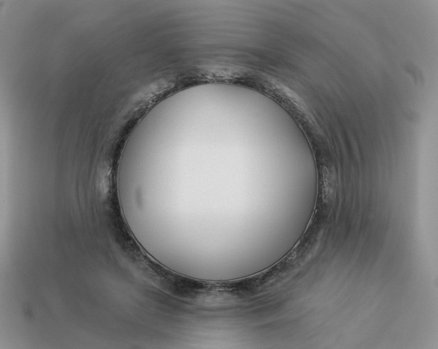 X0000114510451200911091133