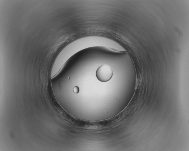 X0000114510452200911091133