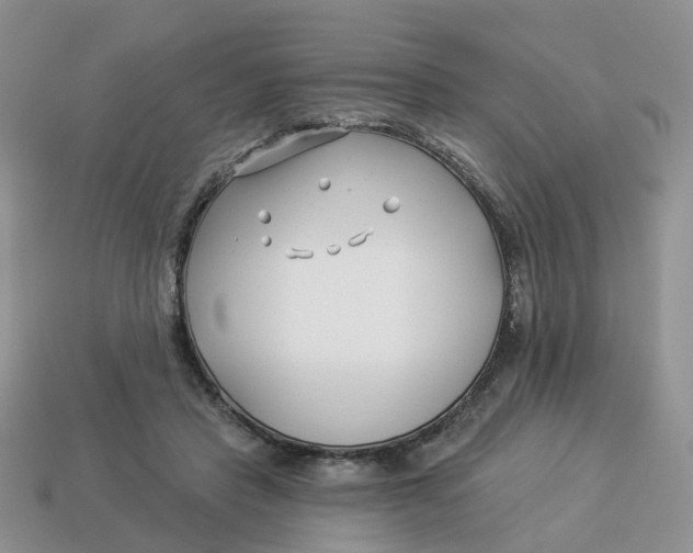 X0000114510453200911091133