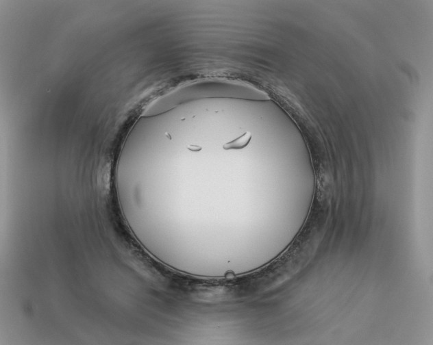 X0000114510454200911091133