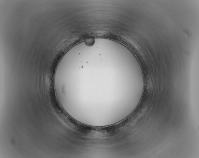 X0000114510455200911091133