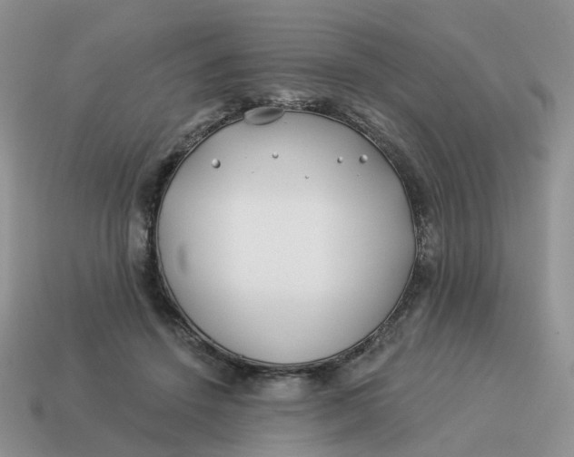 X0000114510456200911091133