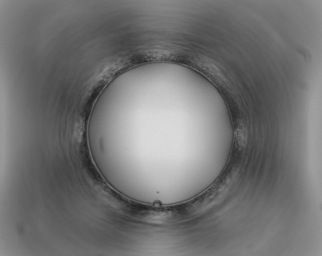 X0000114510458200911091133