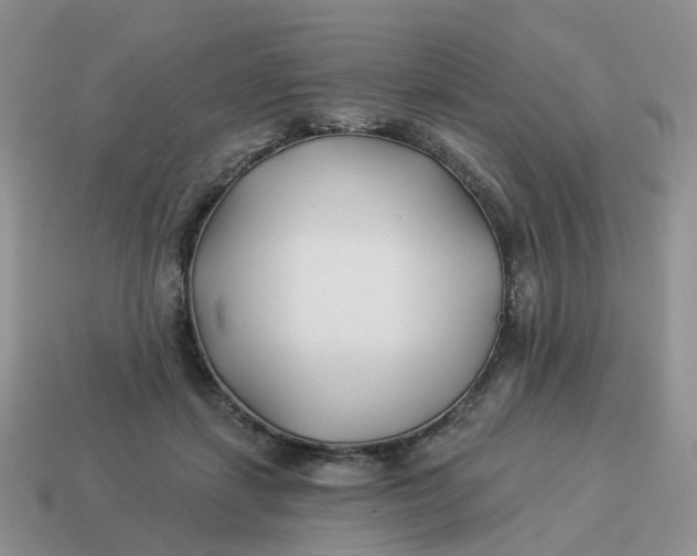 X0000114510459200911091133