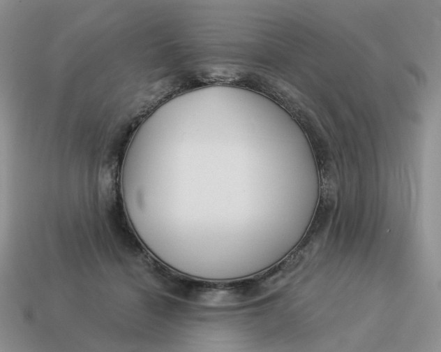 X0000114510460200911091133