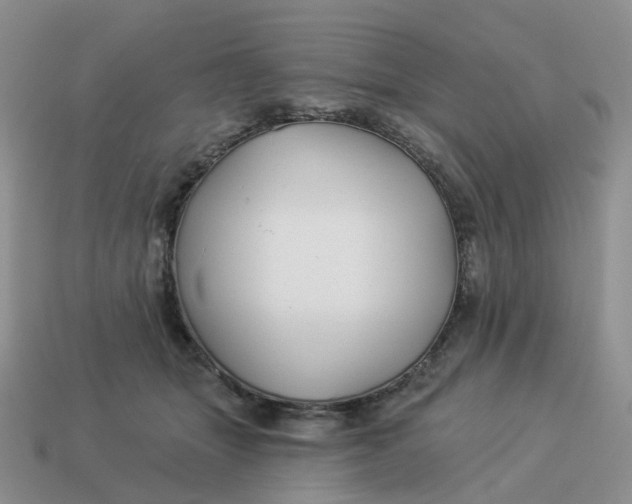 X0000114510463200911091133