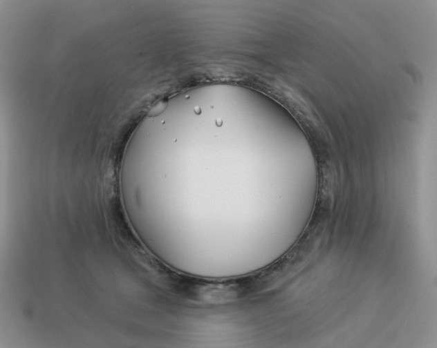 X0000114510465200911091133