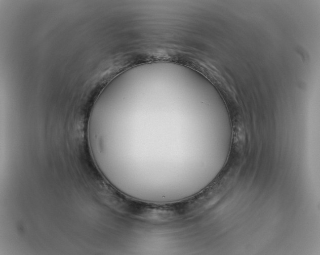 X0000114510466200911091133