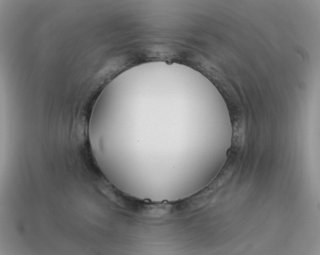 X0000114510474200911091133