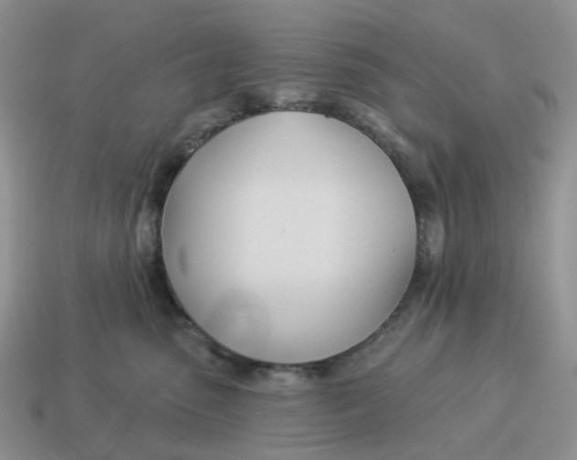 X0000114510475200911091133