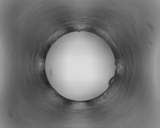 X0000114510476200911091133