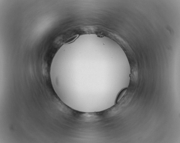 X0000114510477200911091133