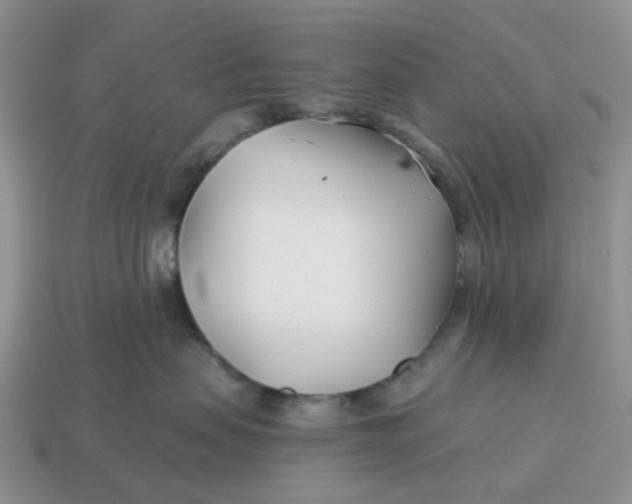 X0000114510479200911091133