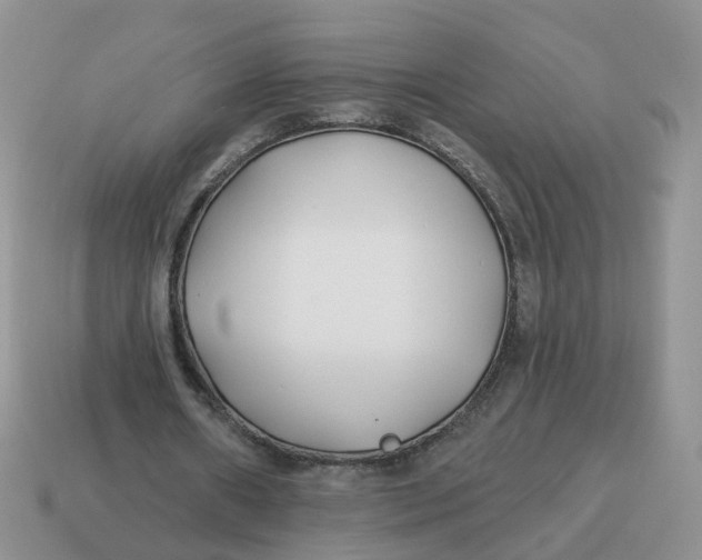 X0000114510482200911091133