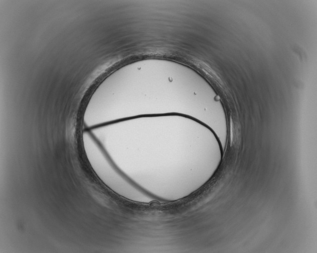 X0000114510483200911091133