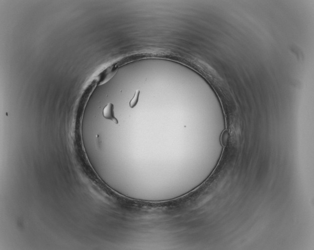 X0000114510484200911091133