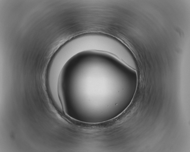 X0000114510485200911091133