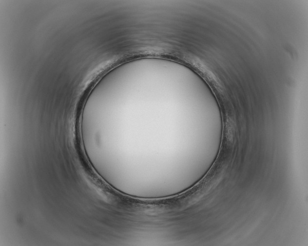 X0000114510486200911091133