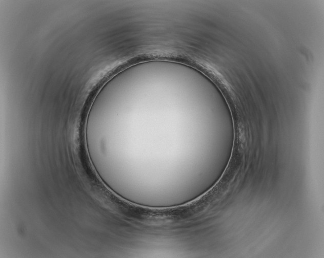 X0000114510487200911091133