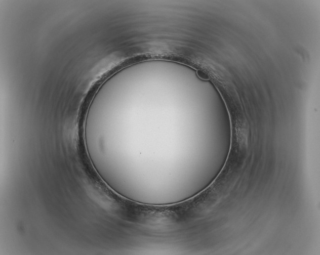 X0000114510488200911091133