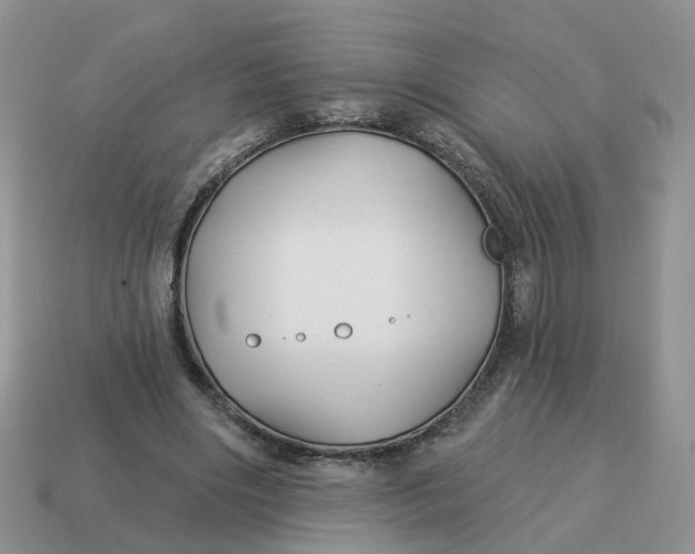 X0000114510490200911091133