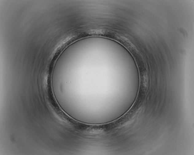 X0000114510491200911091133