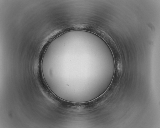 X0000114510492200911091133