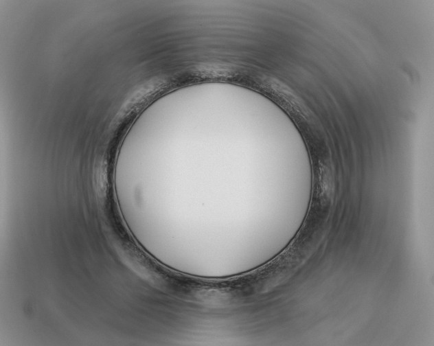 X0000114510494200911091133